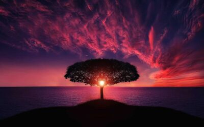 I Benefici delle Affermazioni Positive Pt. 2